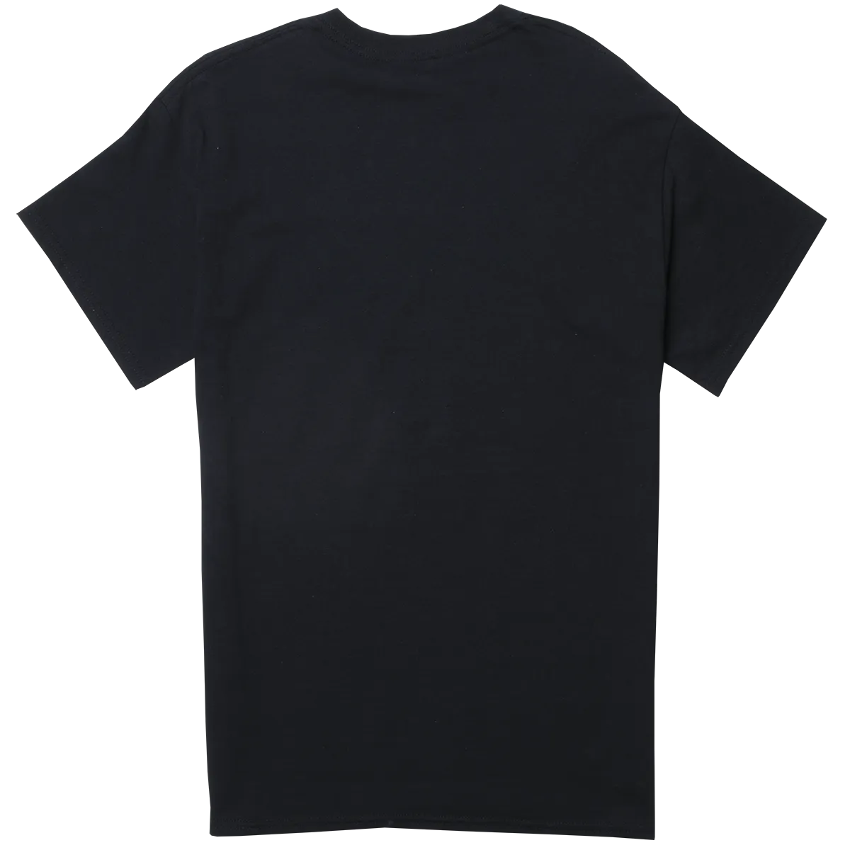 Black Swan Lake Tippy Toes tee
